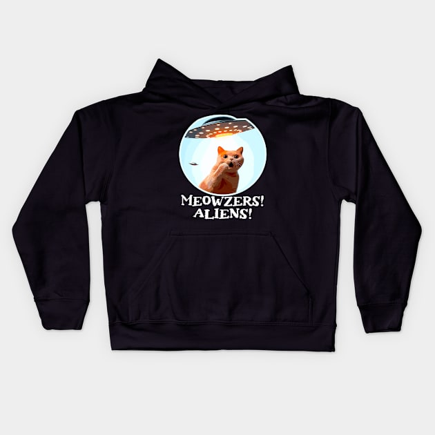 Ufo Cat Kids Hoodie by Outrageous Flavors